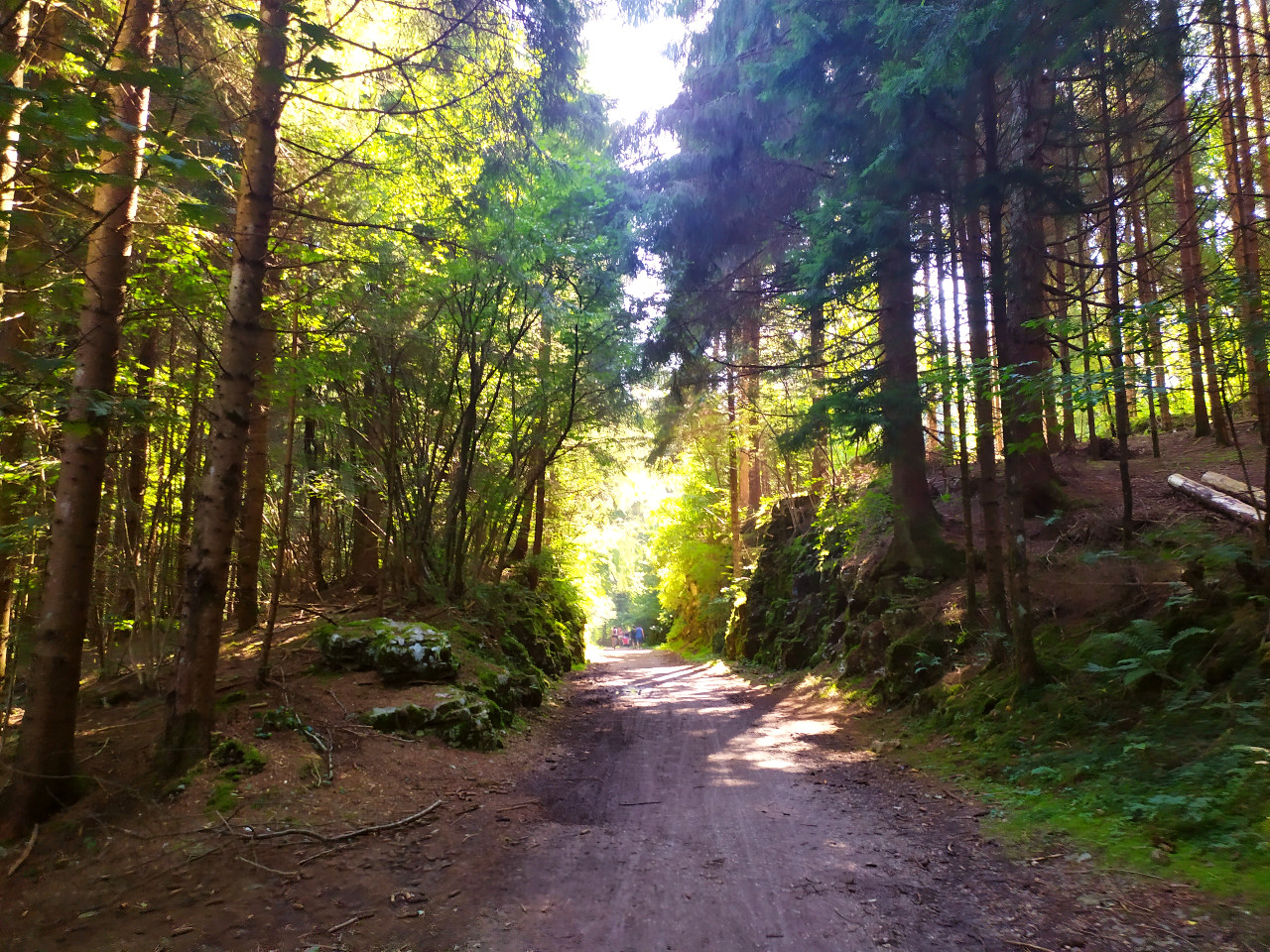 strada del vecchio trenino asiago