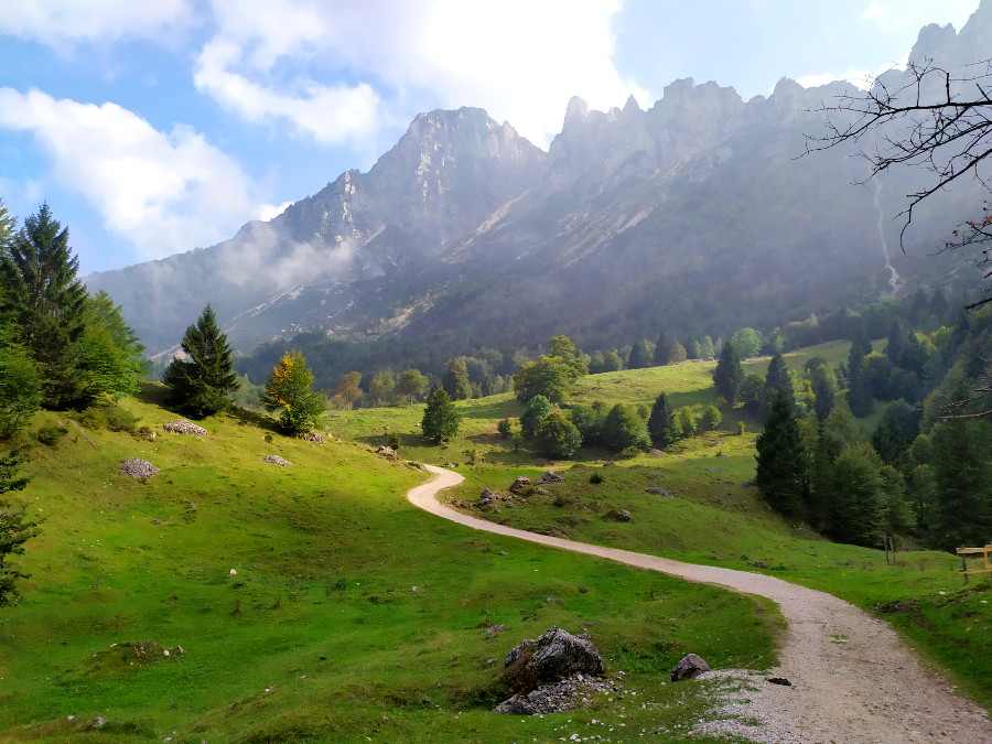 sentiero dei grandi alberi recoaro