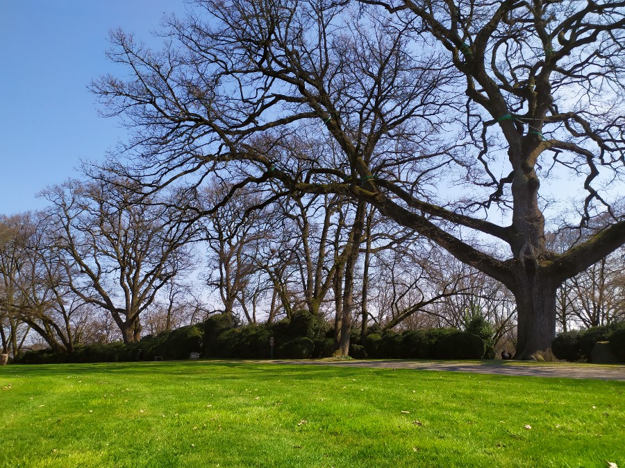 parco giardino sigurtà