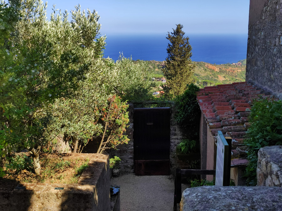 cosa vedere isola d elba