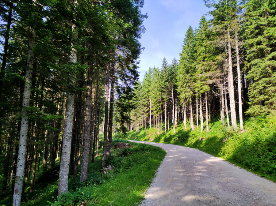 passeggiate altopiano dei sette comuni