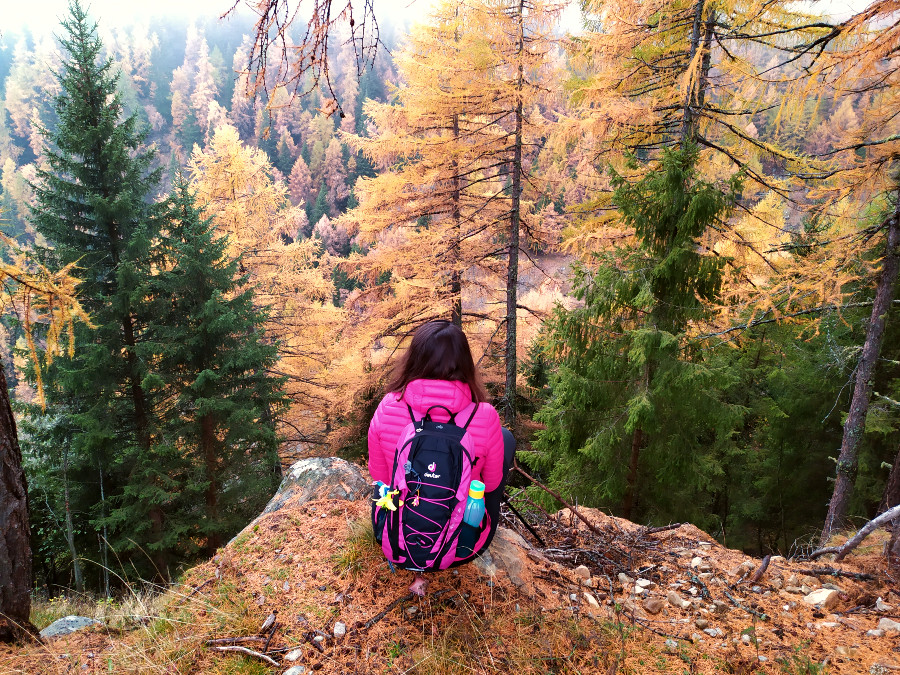 dove vedere foliage vicenza montagna