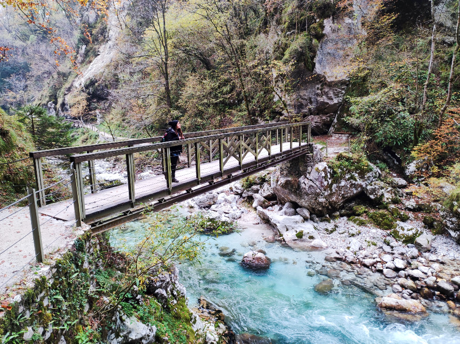 gole di tolmino