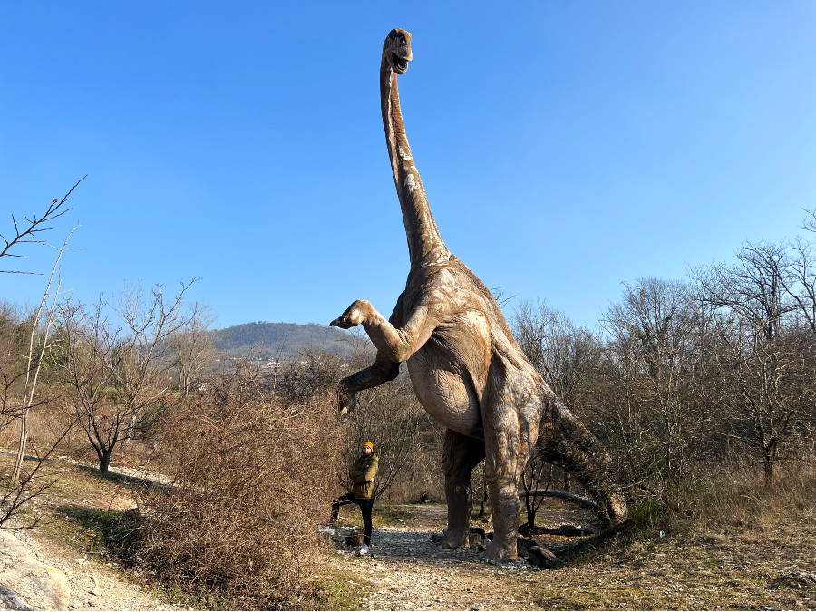 museo cava bomba dinosauri