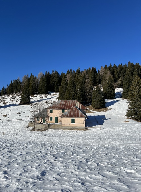 escursioni val formica