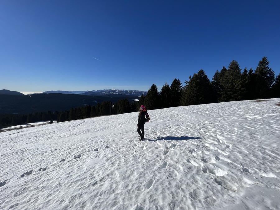 giro delle malghe altopiano di asiago