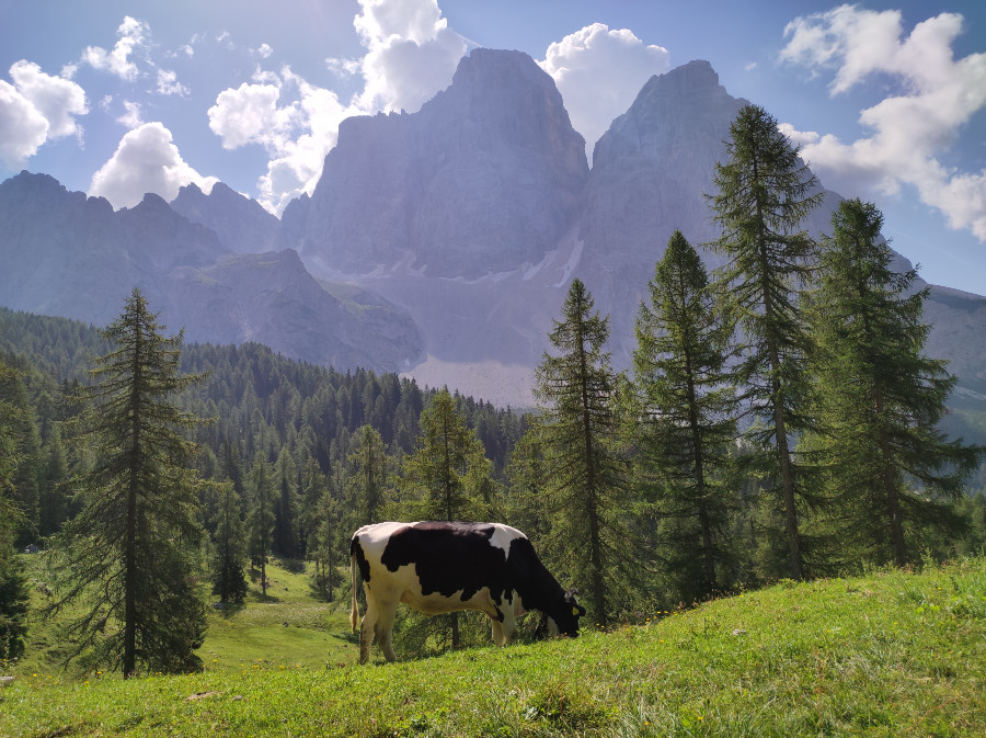 escursione rifugio città di fiume