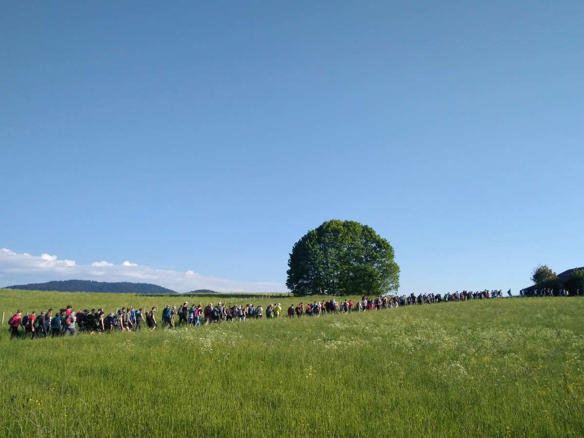 grande rogazione di asiago