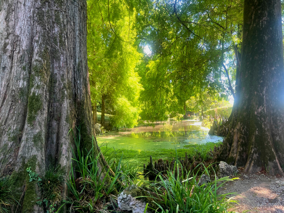 parco rossi santorso